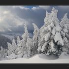 Winter im Waadländer Jura