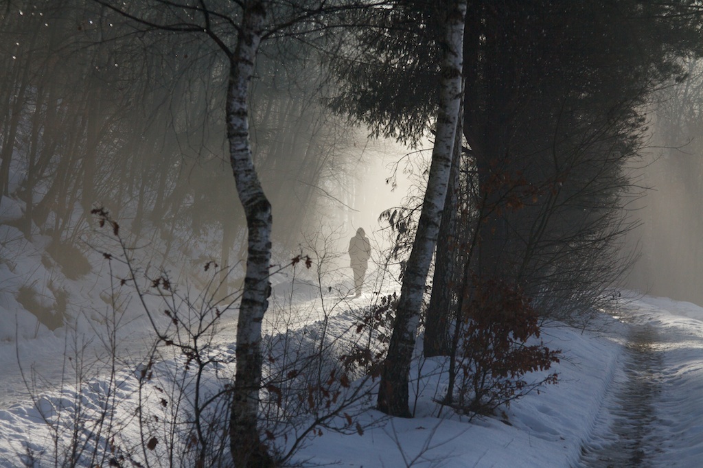 Winter im Wald