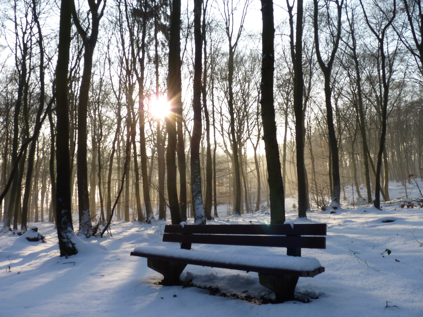 Winter im Wald