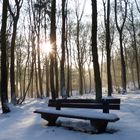 Winter im Wald