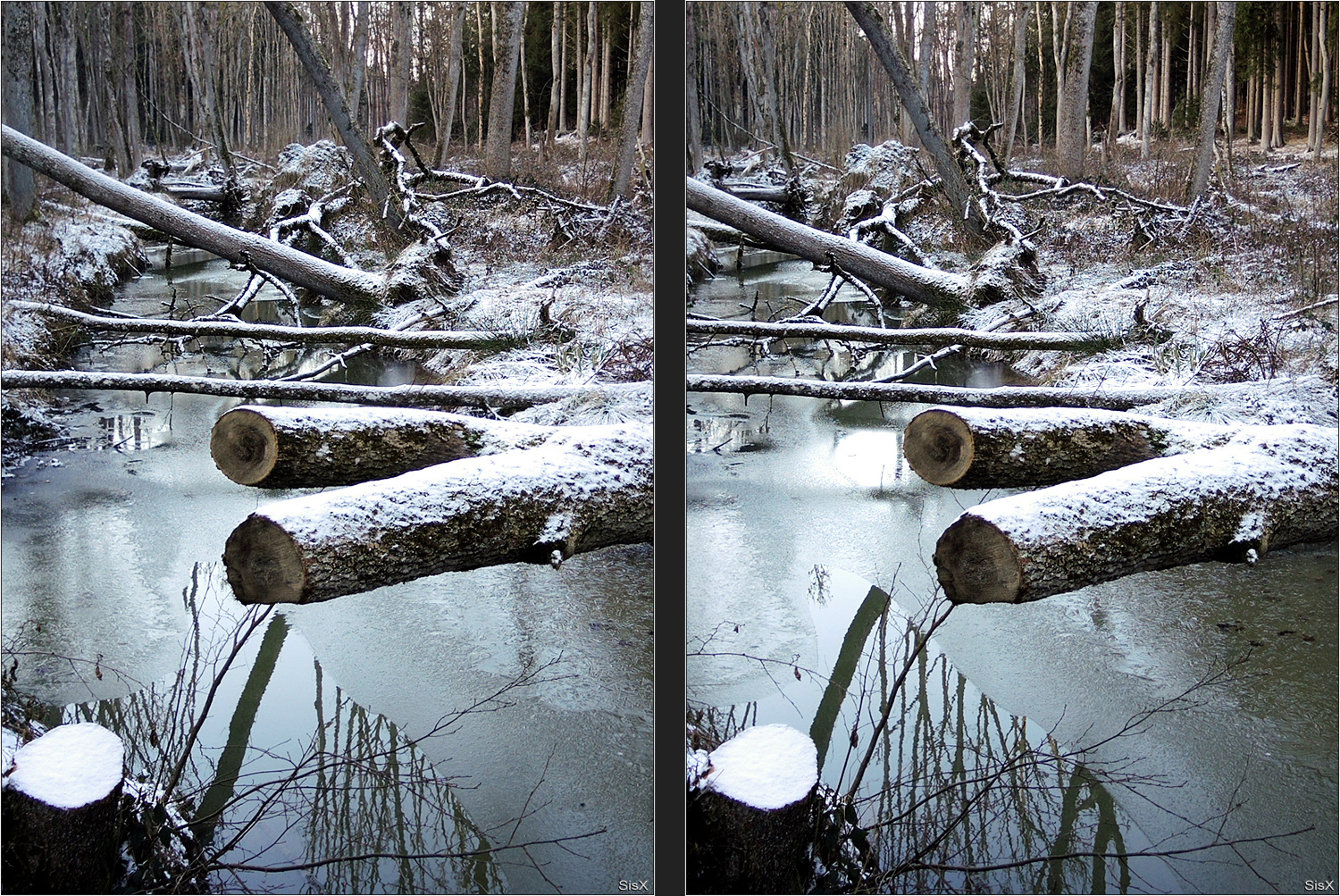 Winter im Wald 3D