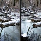 Winter im Wald 3D