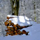 Winter im Wald