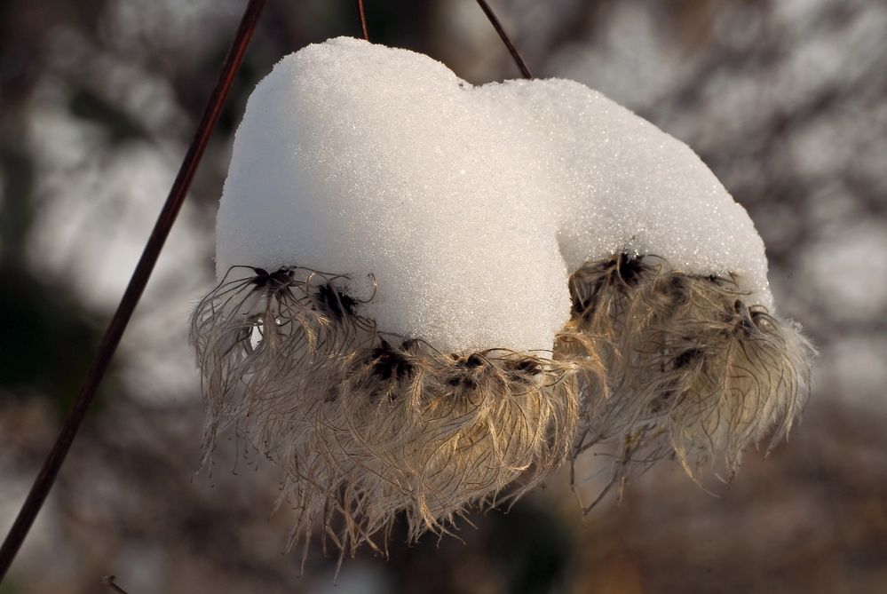 Winter im Wald von Jürgen Büchau 