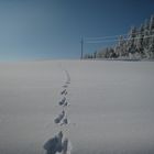 Winter im Waldviertel