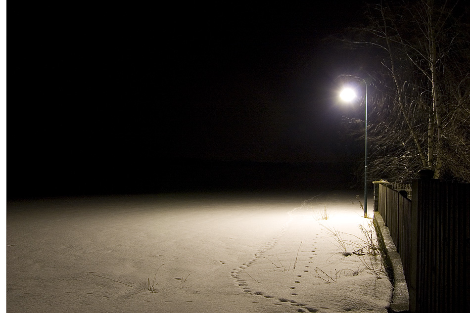 Winter im Waldviertel