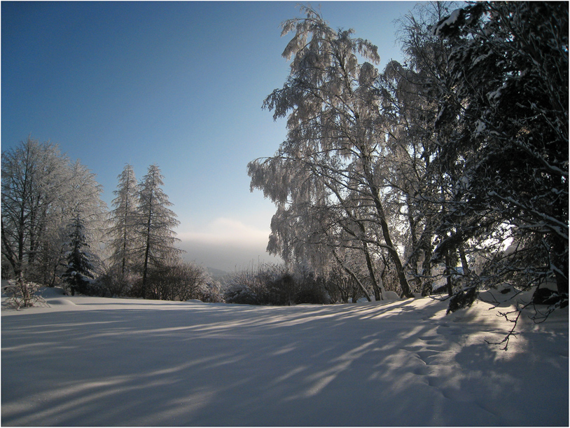 Winter im Waldviertel II