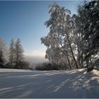 Winter im Waldviertel II