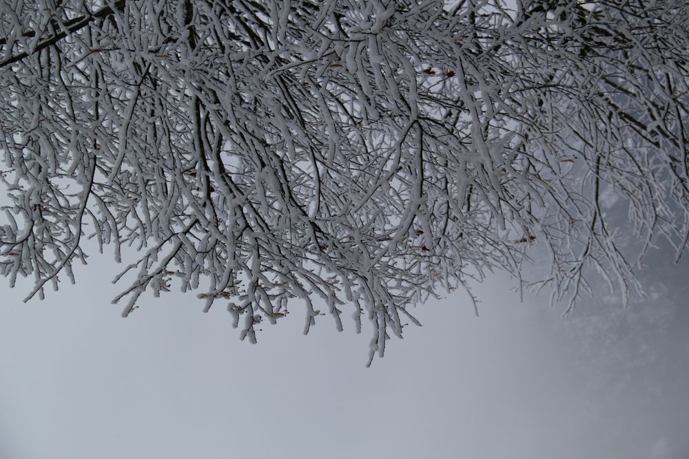 Winter im Walenstadtberg