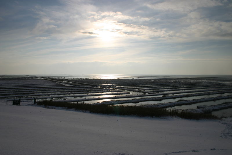 Winter im Wattenmeer 1