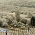 °°°° Winter im Weinberg °°°°