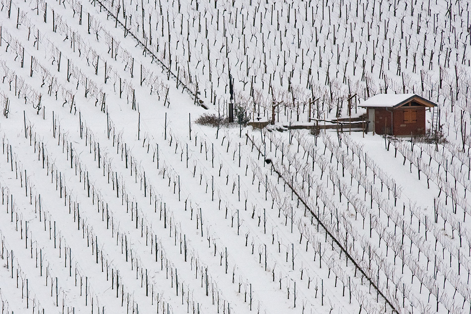 Winter im Weinberg - die Hütte mit der Leiter