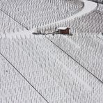 Winter im Weinberg - Gassi gehen