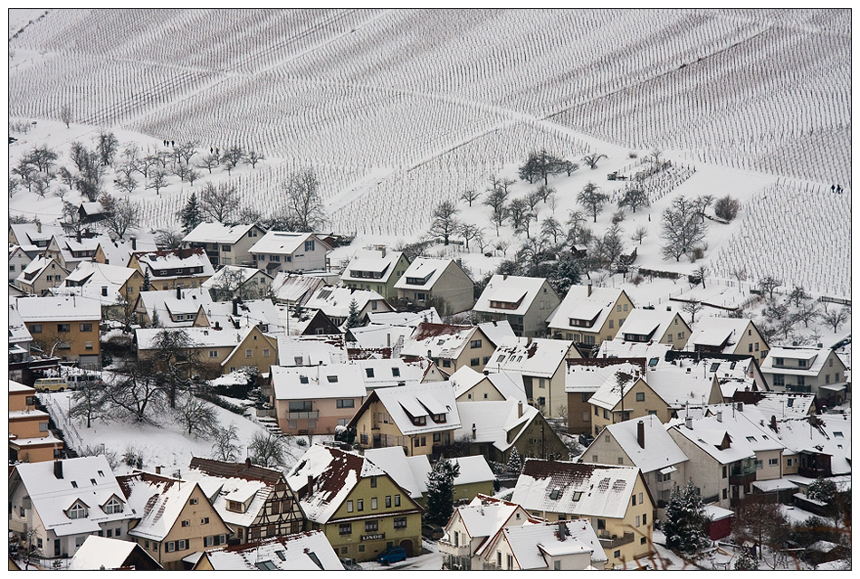 Winter im Weinberg - Strümpfelbach