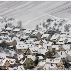 Winter im Weinberg - Strümpfelbach