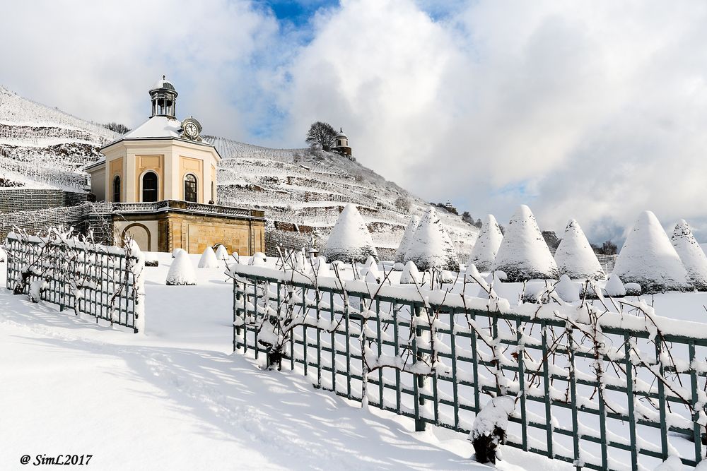 Winter im Weingut Schloss Wackerbarth