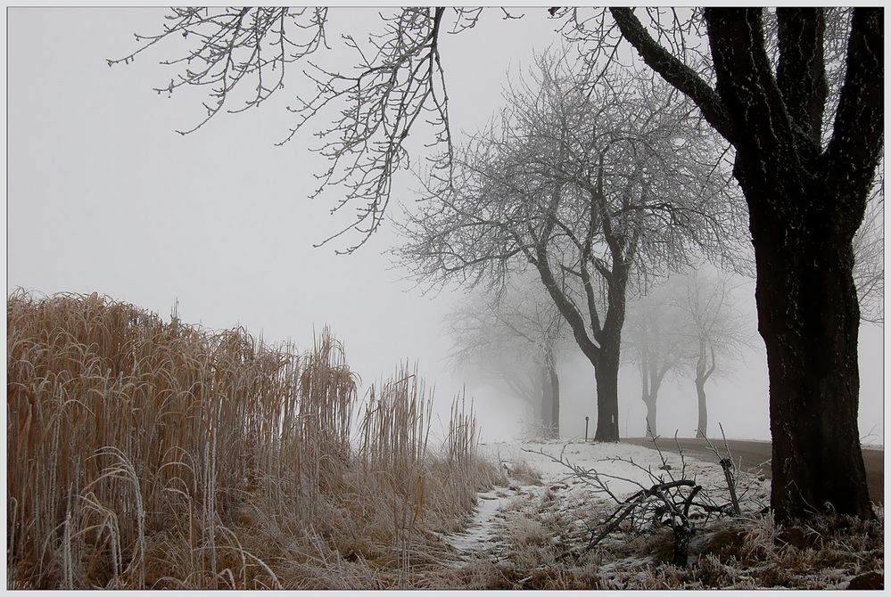 Winter im Weinviertel