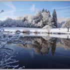 Winter im Welzheimer Wald