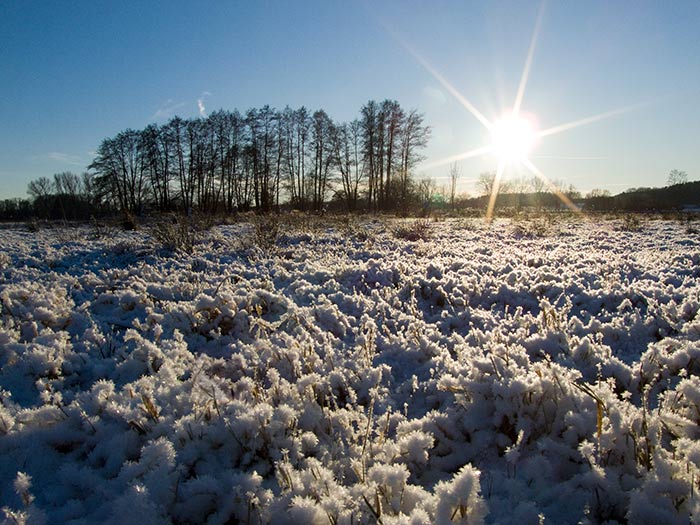 Winter im Wendland