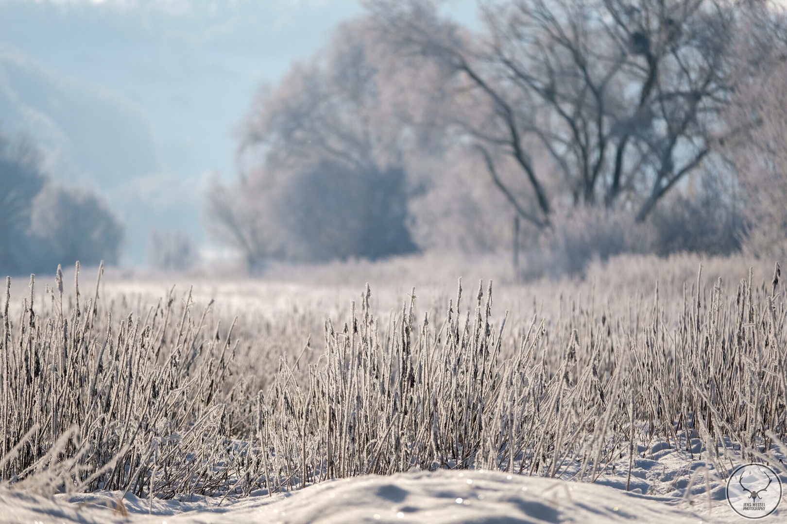 Winter im Weserbergland