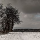 Winter im Weserbergland