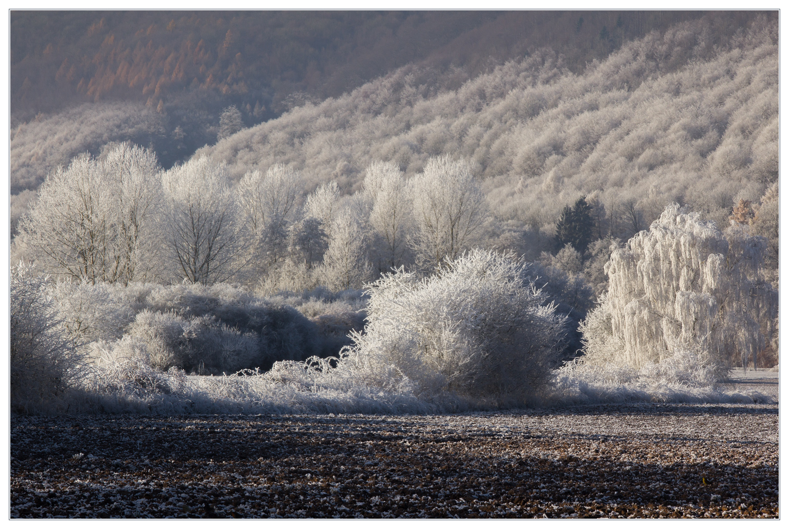 Winter im Weserbergland... - oder: ...draußen regnet es jetzt...