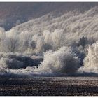 Winter im Weserbergland... - oder: ...draußen regnet es jetzt...