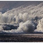 Winter im Weserbergland... - oder: ...draußen regnet es jetzt...