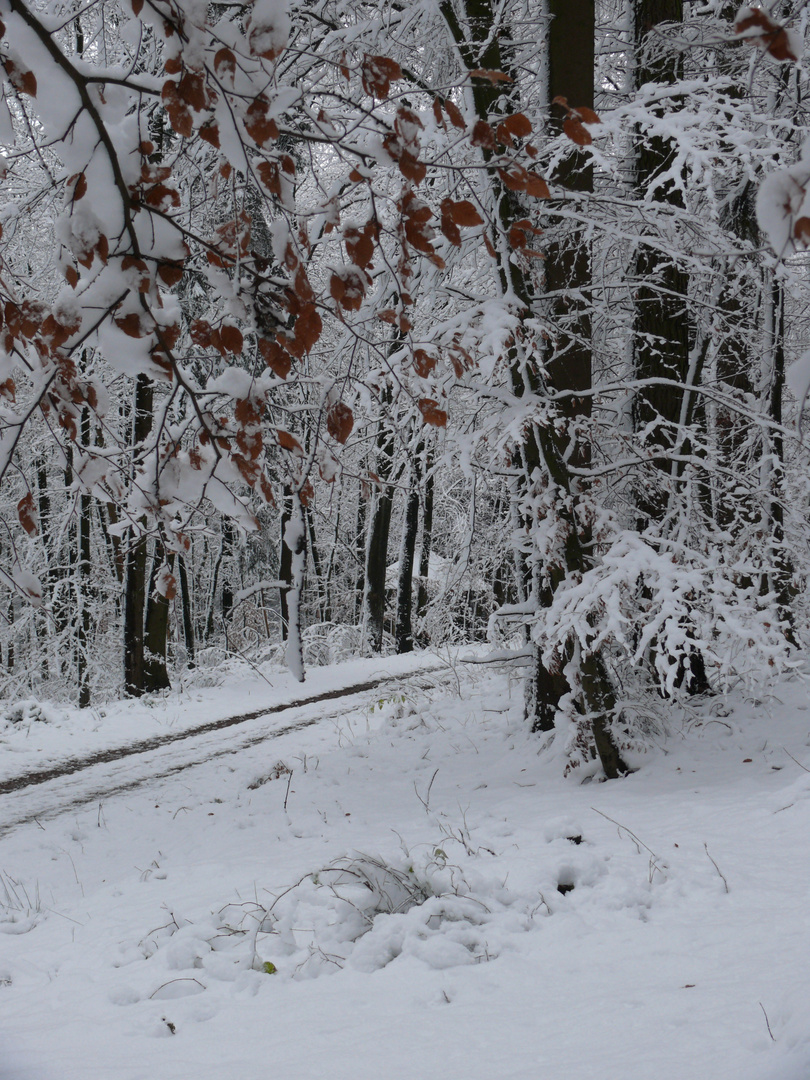 Winter im Wesergebirge