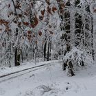 Winter im Wesergebirge