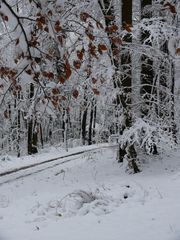 Winter im Wesergebirge