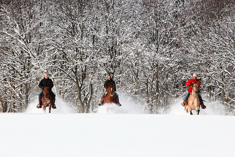 Winter im Wester(n)wald