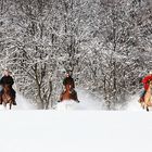 Winter im Wester(n)wald