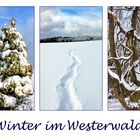 Winter im Westerwald