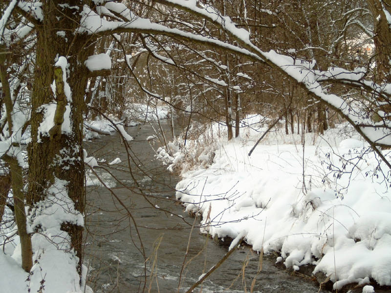 Winter im Westerwald