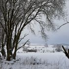 Winter im Westerwald