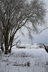 Winter im Westerwald