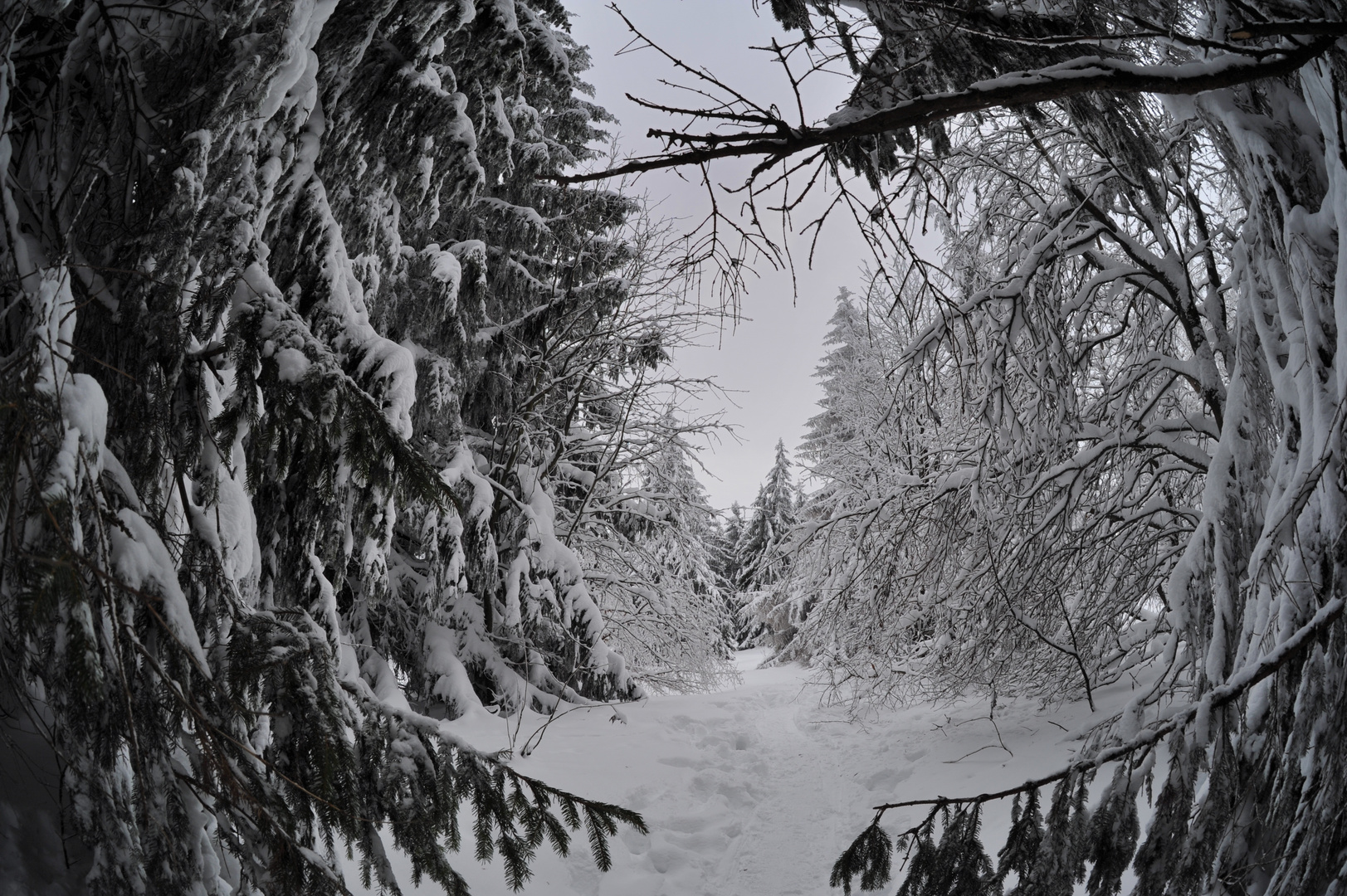 Winter im Westerwald - Fuchskaute