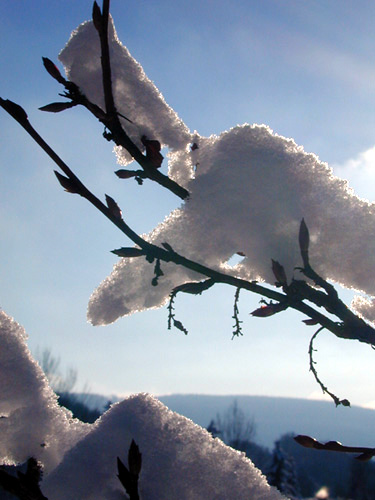 Winter im Westerwald IV