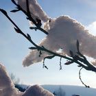 Winter im Westerwald IV