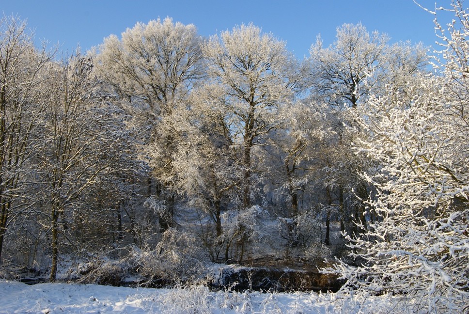 Winter im Westmünsterland