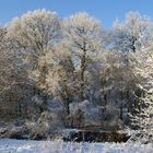 Winter im Westmünsterland