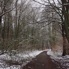 Winter im Westpark