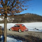 Winter im Wienerwald