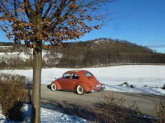 Winter im Wienerwald