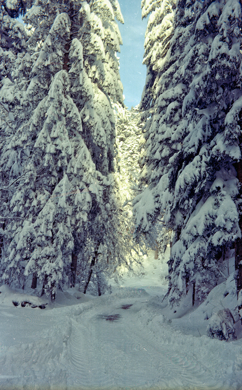 Winter im Wildschappach