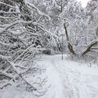 Winter im Wittelsbacher Park