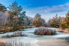 Winter im Wittemoor