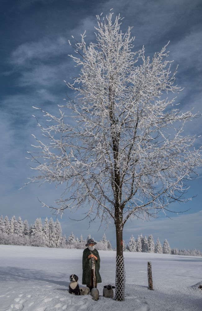 Winter im Wittgensteiner Land