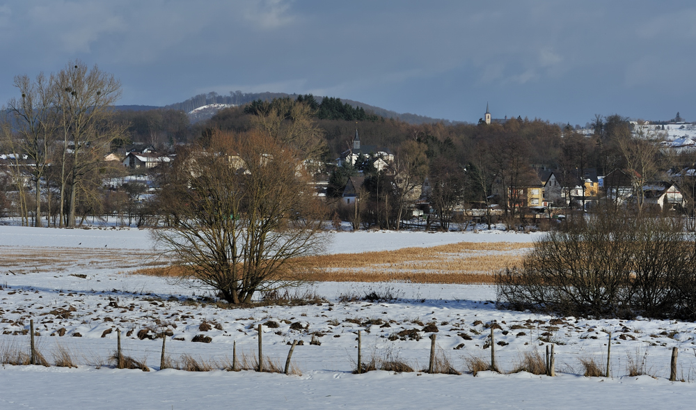 *Winter im Wittlicher Land 5*